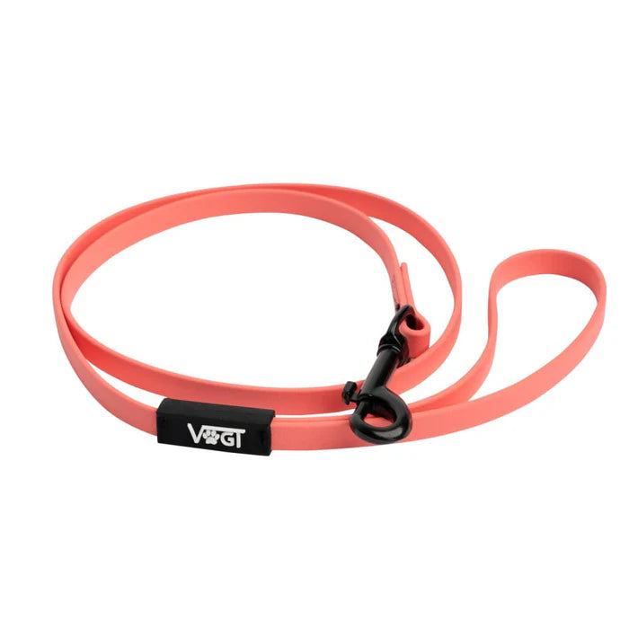 Führleine inkl. Trainingsanleitung