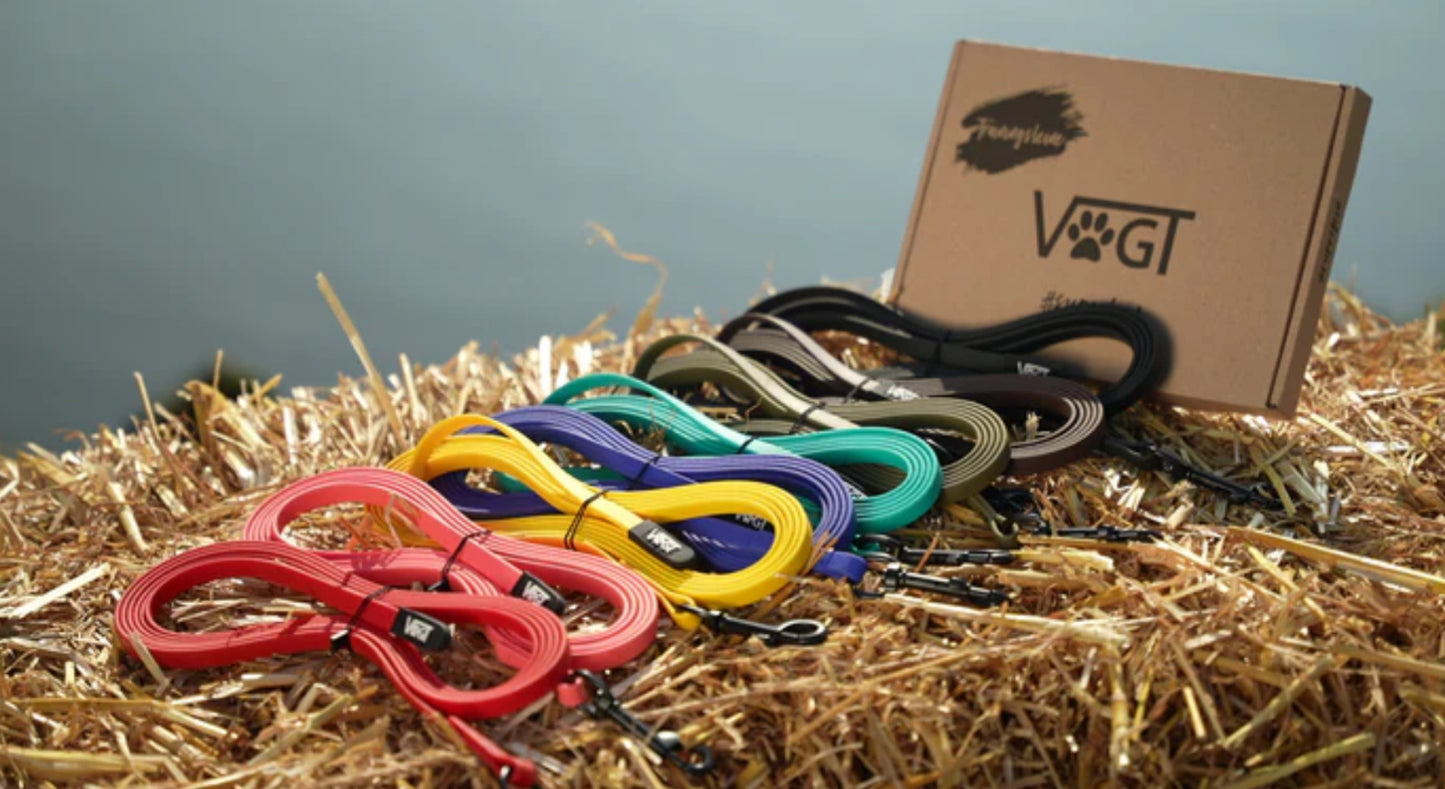 Trainingsleine inkl. Videokurs