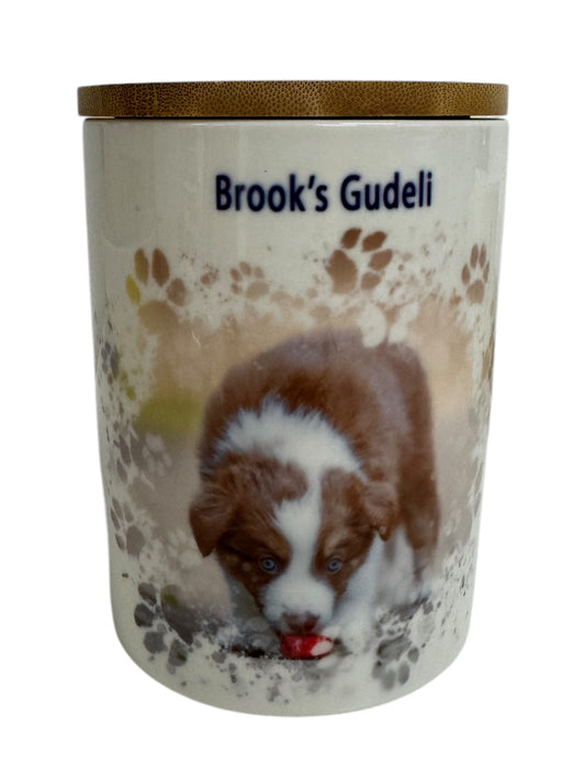 Dose für Leckerlis 750ml